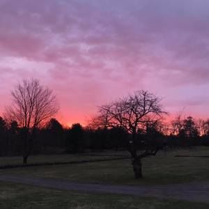 Meet your Posher, Candy